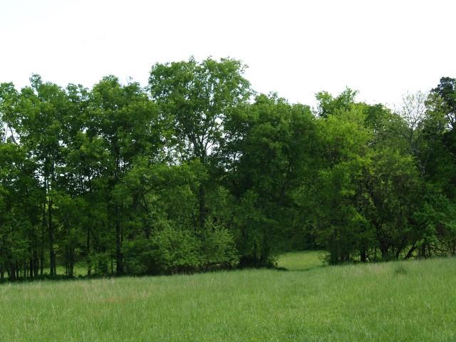 8 B B Dodson Road Columbia, TN 38401 - Photo 6 of 6