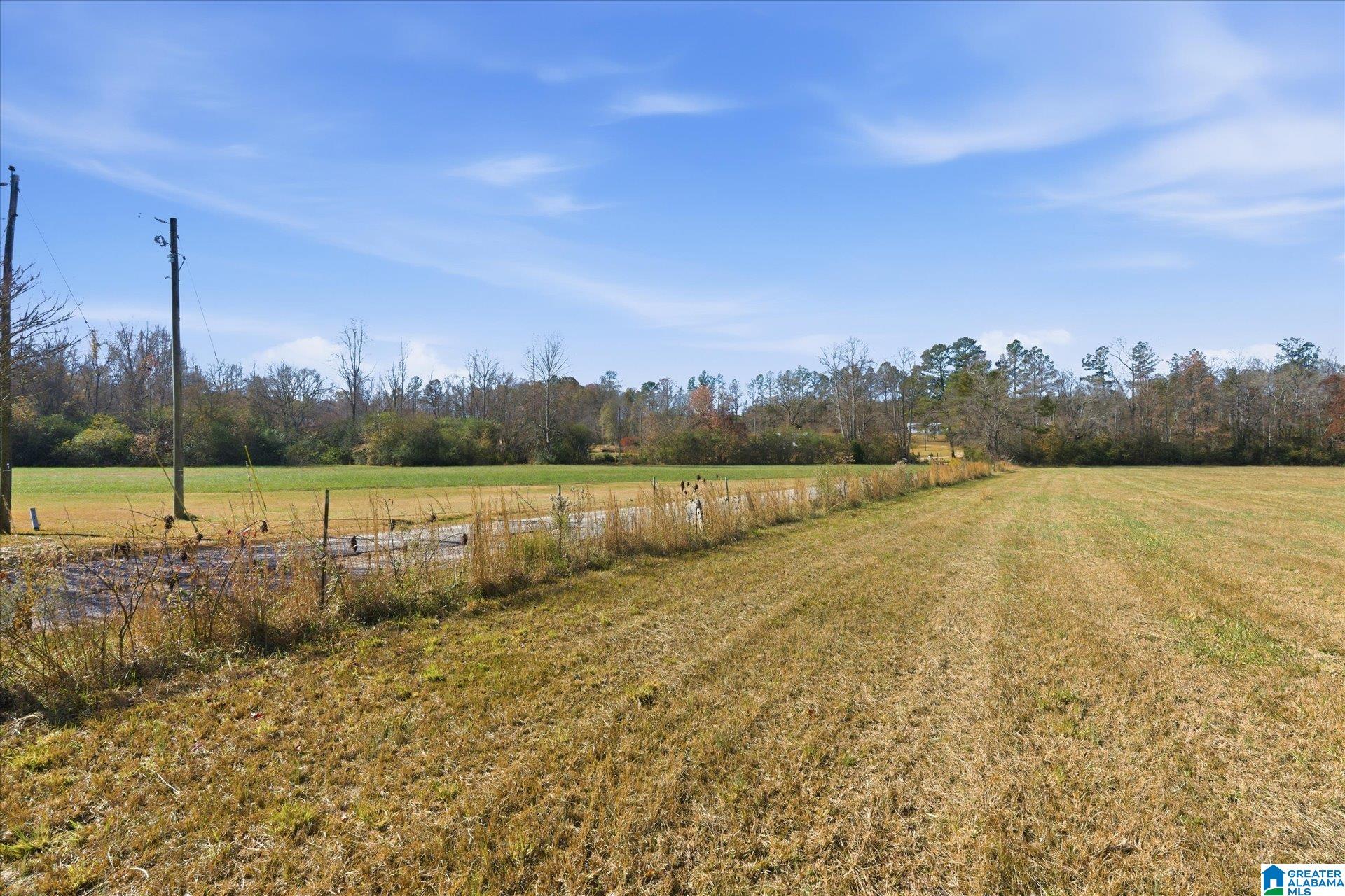 0 County Road 84 Heflin, AL 36264 - Photo 13 of 20
