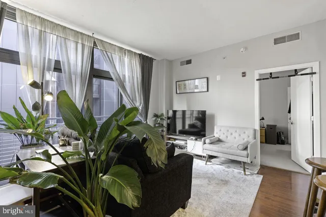 a living room with furniture flowerpot and a potted plant