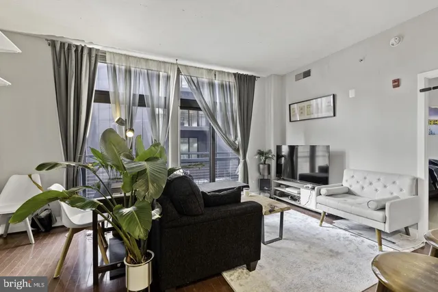 a living room with furniture and a potted plant