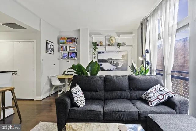 a living room with furniture and a potted plant
