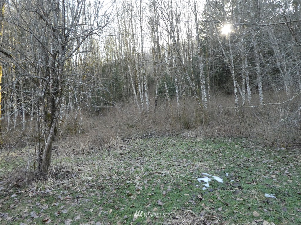 0 Lake Samish Road Bellingham, WA 98229 - Photo 14 of 14 Gallery Image 14