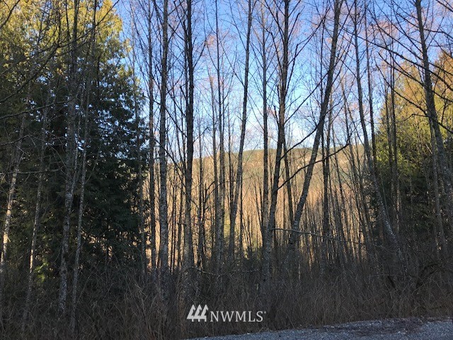 0 Lake Samish Road Bellingham, WA 98229 - Photo 3 of 14 Gallery Image 3