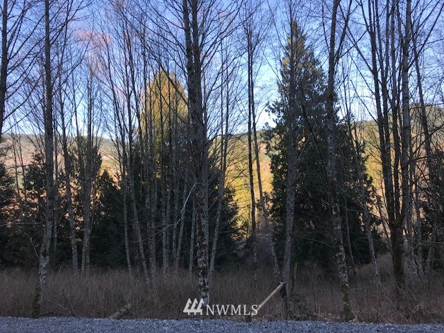 0 Lake Samish Road Bellingham, WA 98229 - Photo 4 of 14 Gallery Image 4