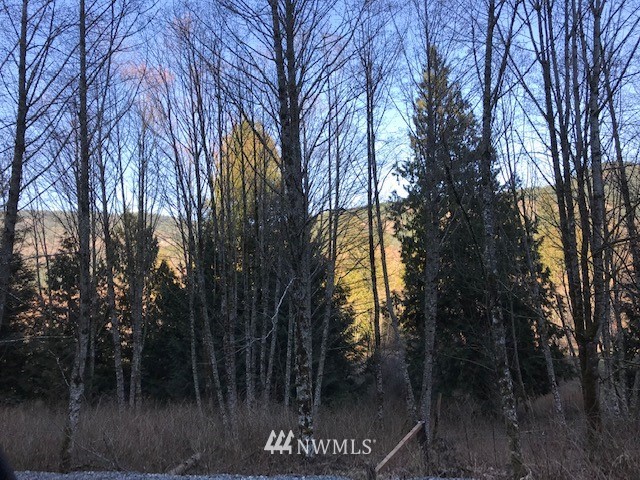 0 Lake Samish Road Bellingham, WA 98229 - Photo 5 of 14 Gallery Image 5