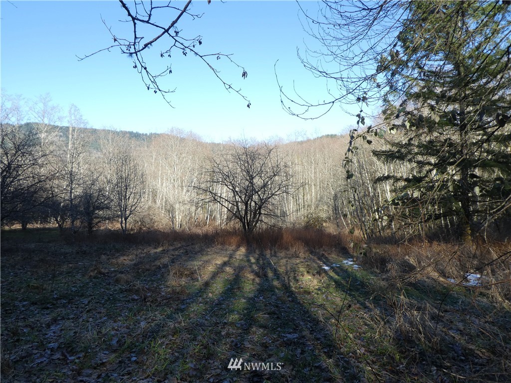 0 Lake Samish Road Bellingham, WA 98229 - Photo 8 of 14 Gallery Image 8