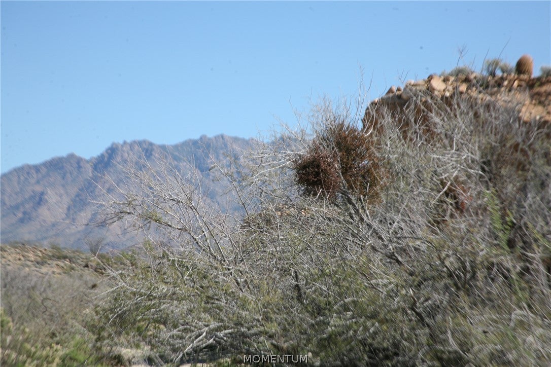 208-24-134 South Cameron Road Yucca, AZ 86438 - Photo 84 of 86 Gallery Image 84