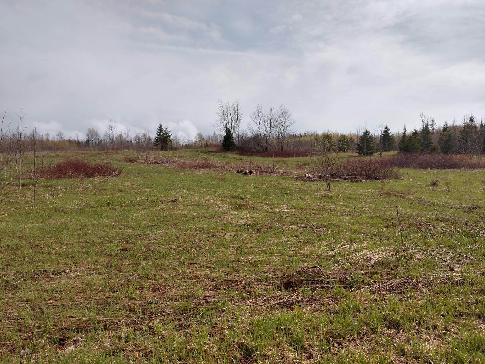 Off White Settlement Road Houlton, ME 04730 - Photo 2 of 8 IMG_20190516_163134738_HDR