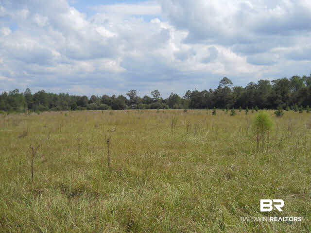 0 Bibb Lane Brewton, AL 36426 - Photo 1 of 1