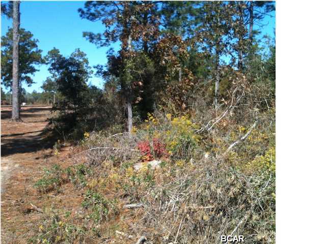48 Grassy Pond Road Chipley, FL 32428 - Photo 6 of 9