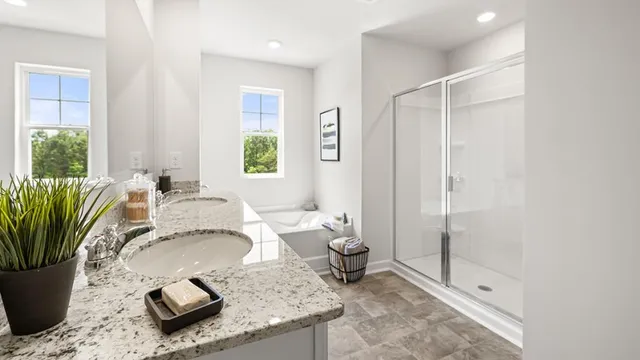 a living room with furniture a window and a potted plant