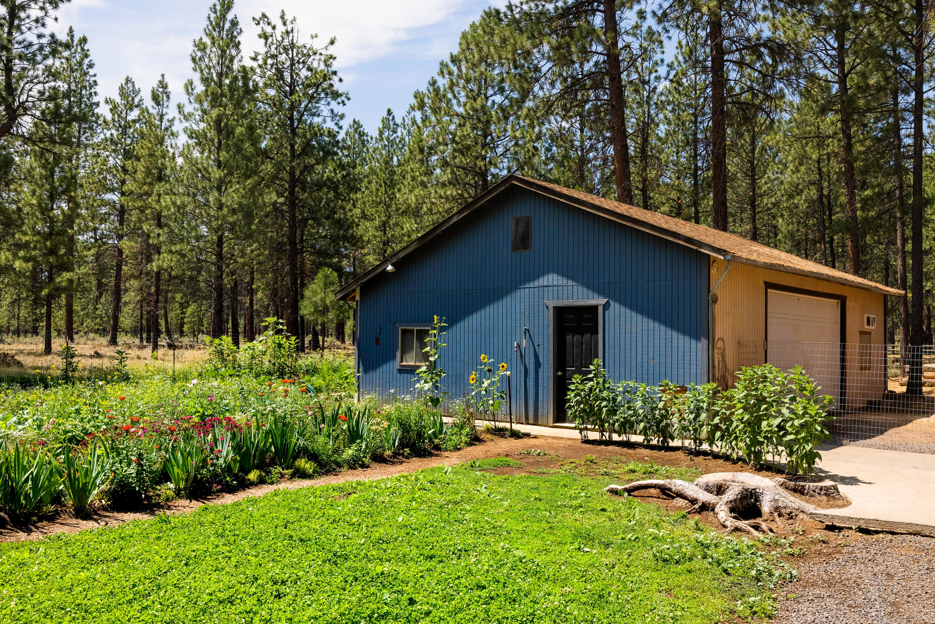 14631 Bluegrass Loop Sisters, OR 97759 - Photo 15 of 27 Large Shop