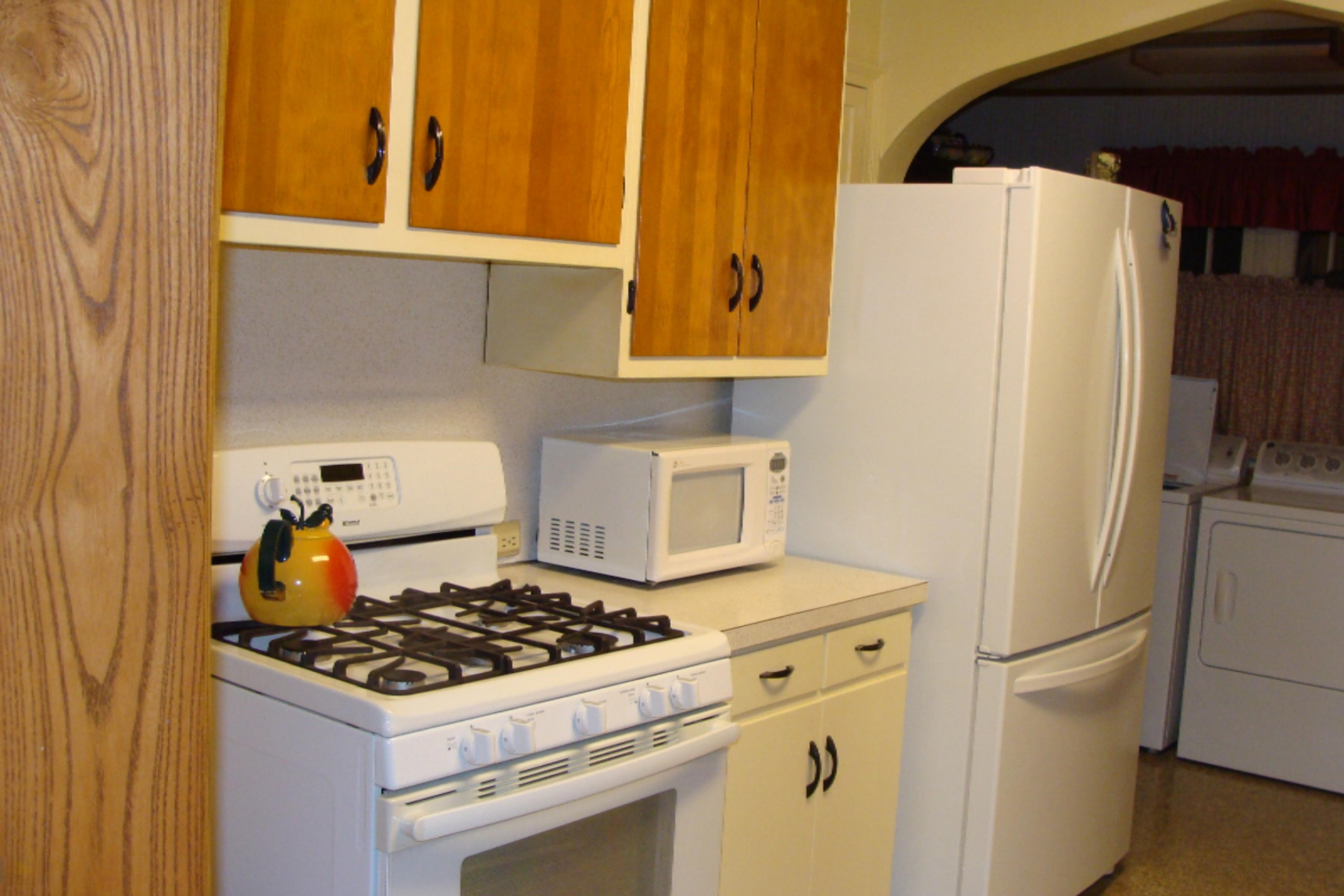 255 West Riverside Drive Ionia, MI 48846 - Photo 18 of 29 DSC06280
