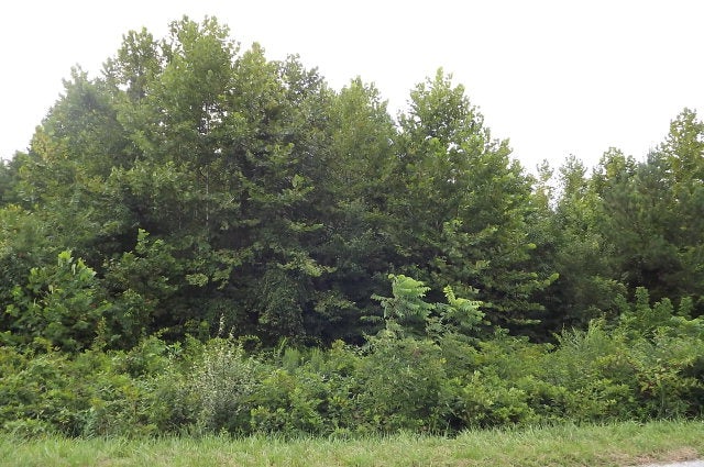 654 Pinegrove Road, Unit 8 Cumberland, VA 23040 - Photo 1 of 1 Gallery Image 1