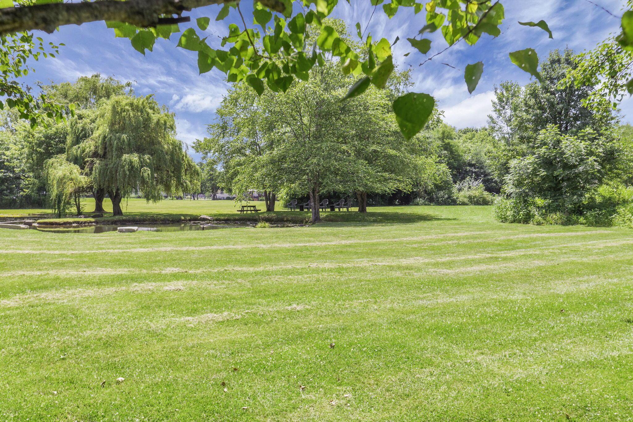 6646 Duffy Road Delaware, OH 43015 - Photo 54 of 61 Back Lot View
