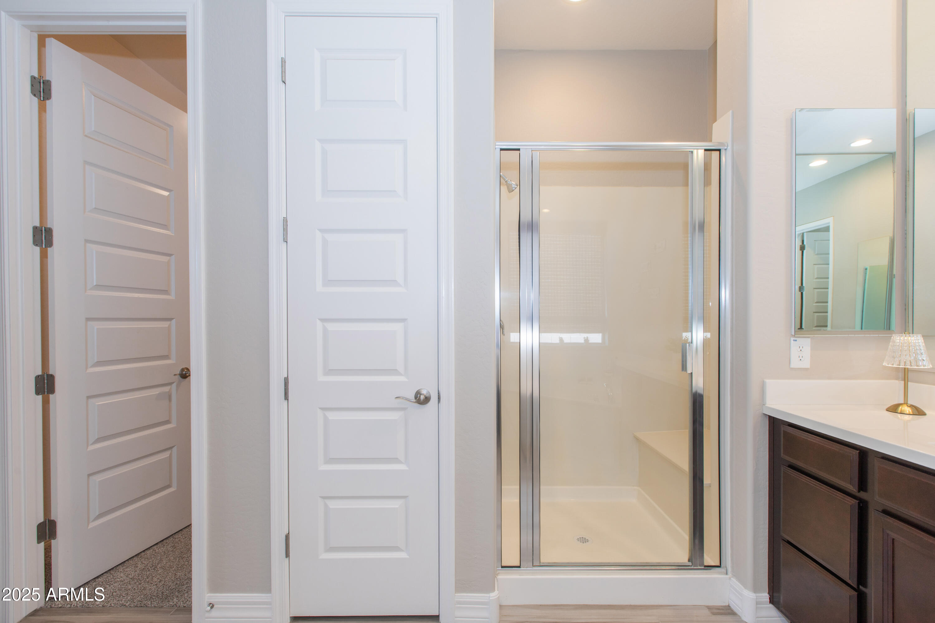 20084 Rosa Road Queen Creek, AZ 85142 - Photo 29 of 53 a bathroom with a shower and a sink