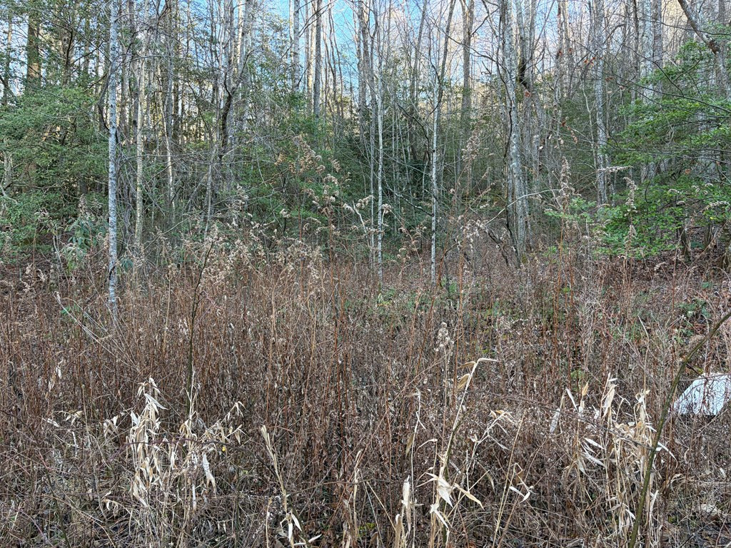 0 Old Faber Road Topton, NC 28781 - Photo 6 of 10