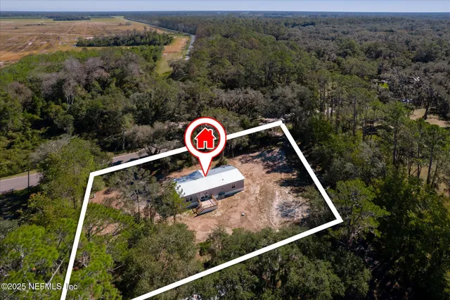 a view of a forest with a mountain view