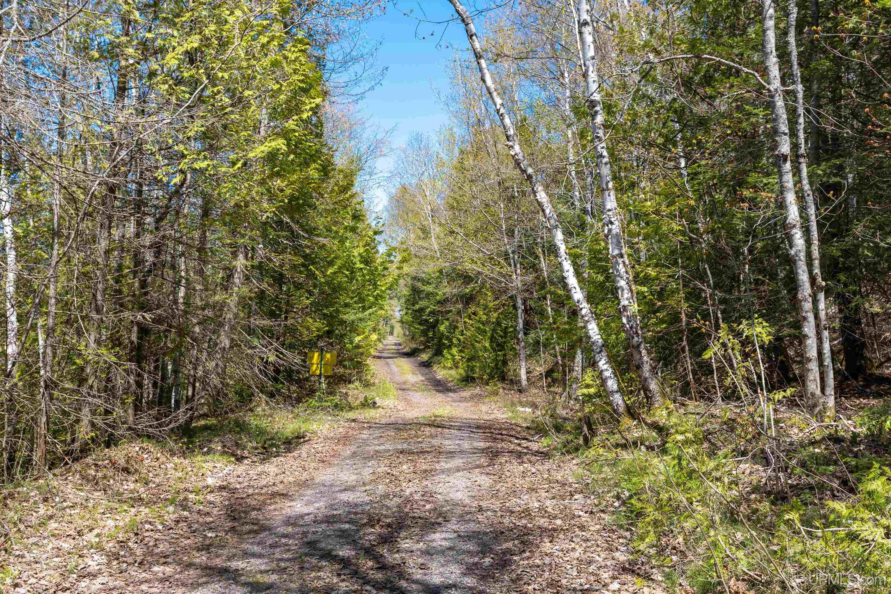 Tbd A Tbd A Road Atlantic Mine, MI 49905 - Photo 4 of 39