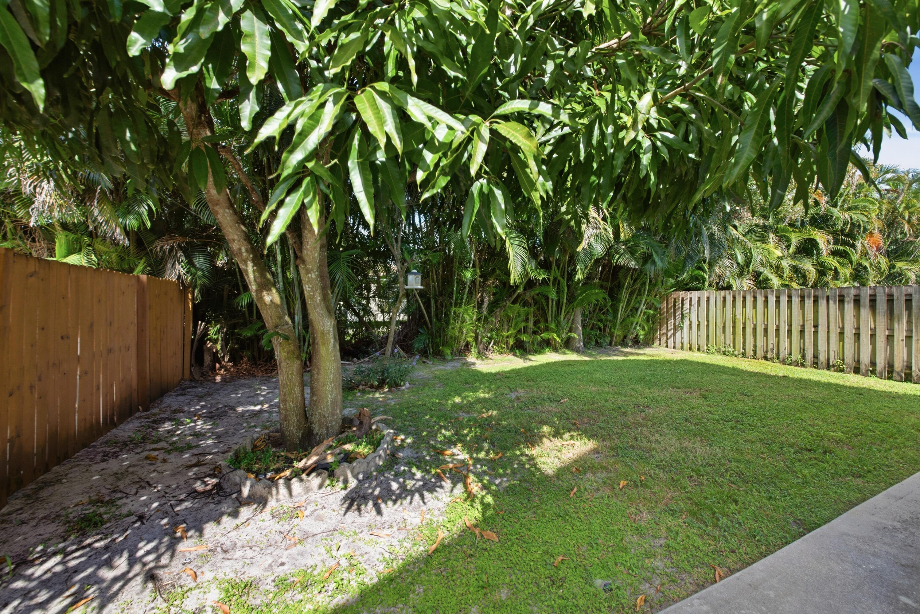 8021 Stirrup Cay Court Boynton Beach, FL 33436 - Photo 22 of 23 a view of a yard with a tree