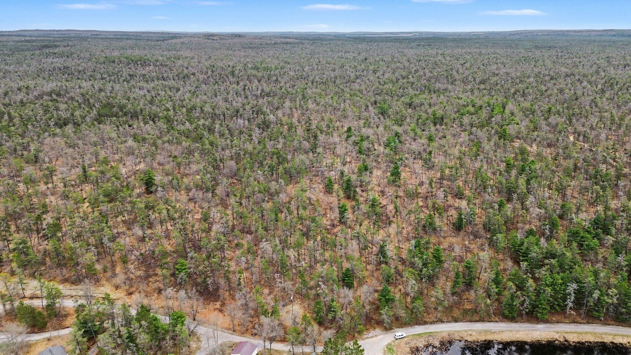Gun Club Road Grayling, MI 49738 - Photo 2 of 17 001_dji_0334_586