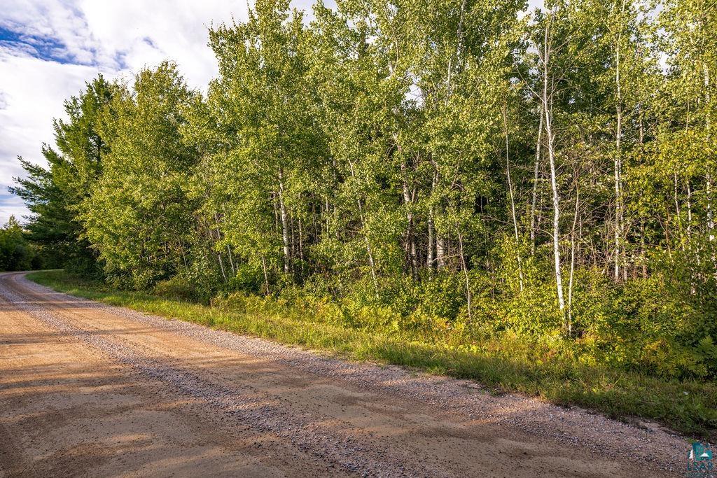 Tbd Crane Lake Road Orr, MN 55771 - Photo 4 of 10 Gallery Image 4