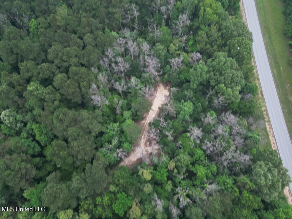 3 Old Hamburg Roxie Road Northwest Roxie, MS 39661 - Photo 2 of 11 144662_2