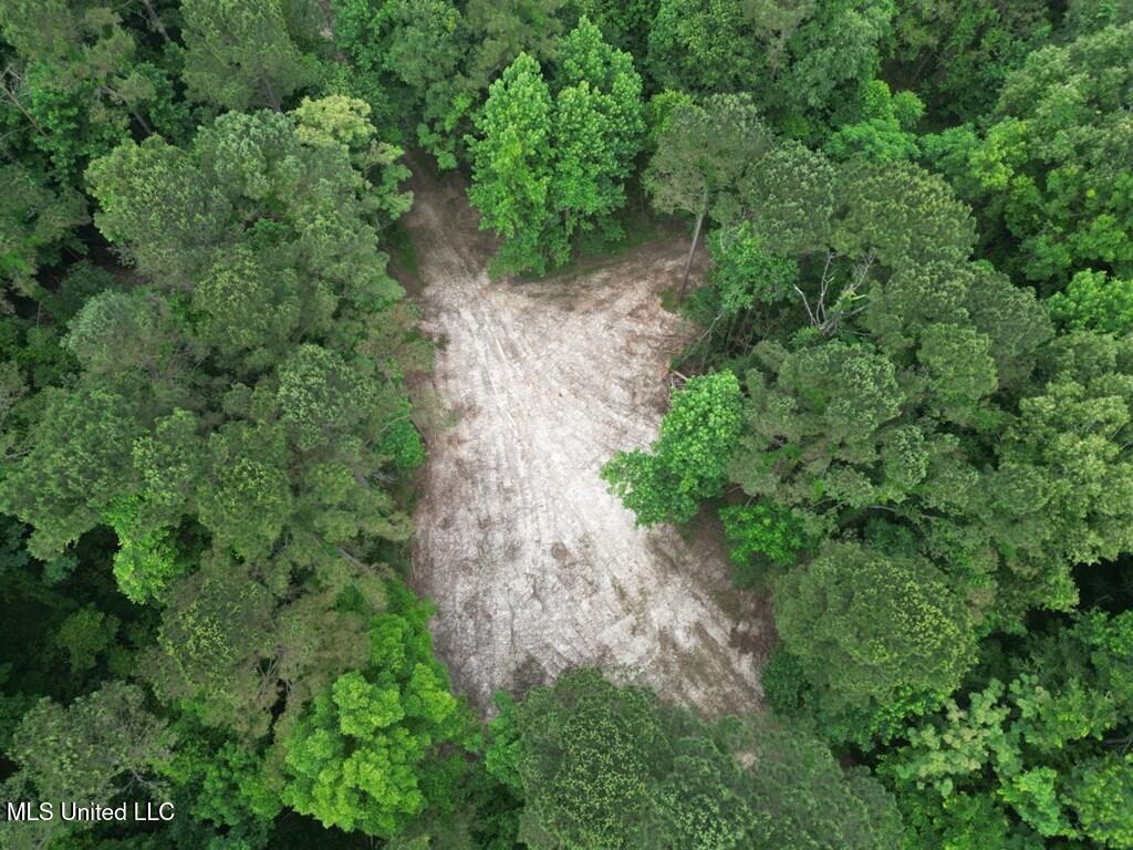 3 Old Hamburg Roxie Road Northwest Roxie, MS 39661 - Photo 3 of 11 144662_4