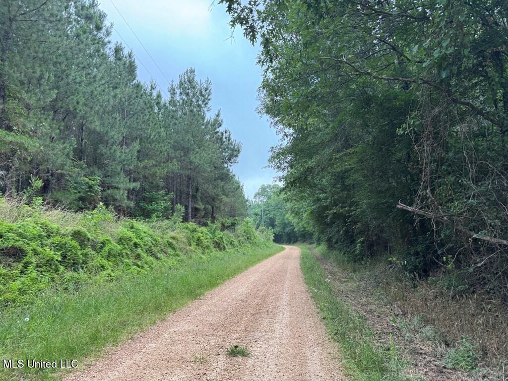 3 Old Hamburg Roxie Road Northwest Roxie, MS 39661 - Photo 4 of 11 144662_5