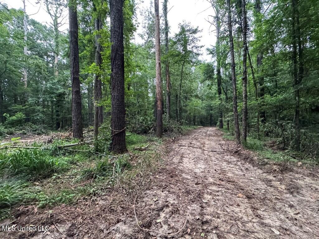 3 Old Hamburg Roxie Road Northwest Roxie, MS 39661 - Photo 5 of 11 144662_8