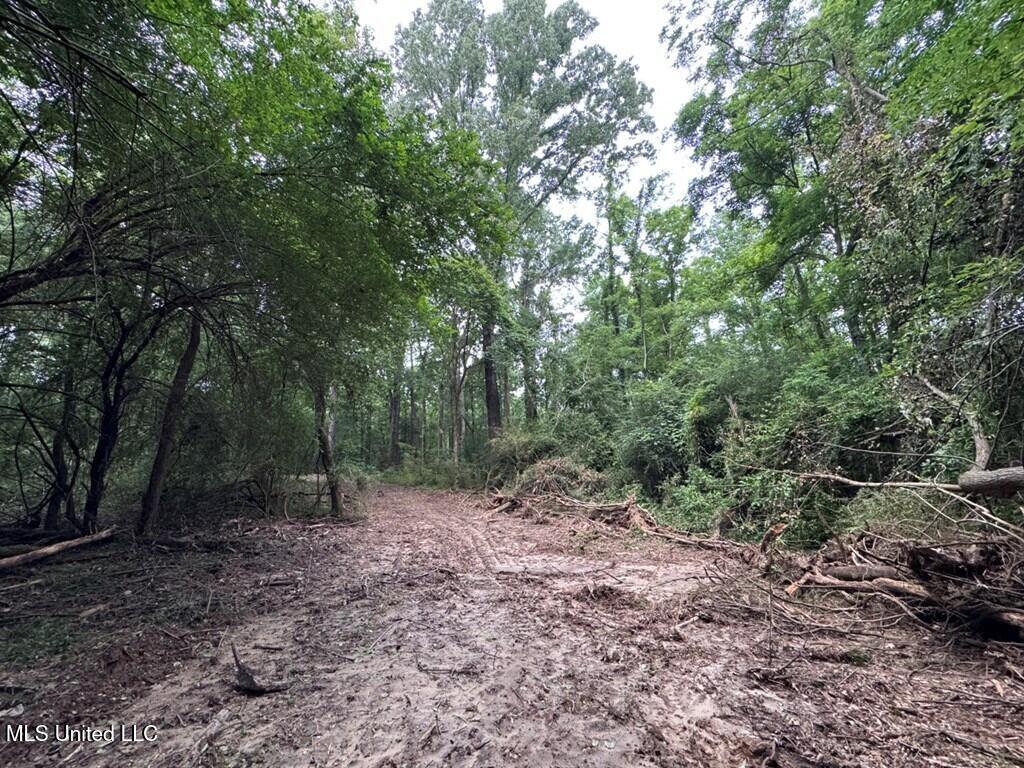 3 Old Hamburg Roxie Road Northwest Roxie, MS 39661 - Photo 7 of 11 144662_11