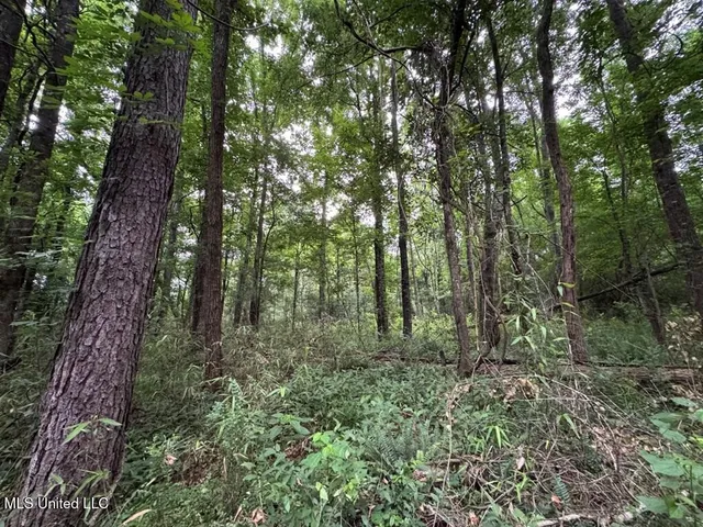 $162,000 | 3 Old Hamburg Roxie Road Northwest, Roxie, MS 39661