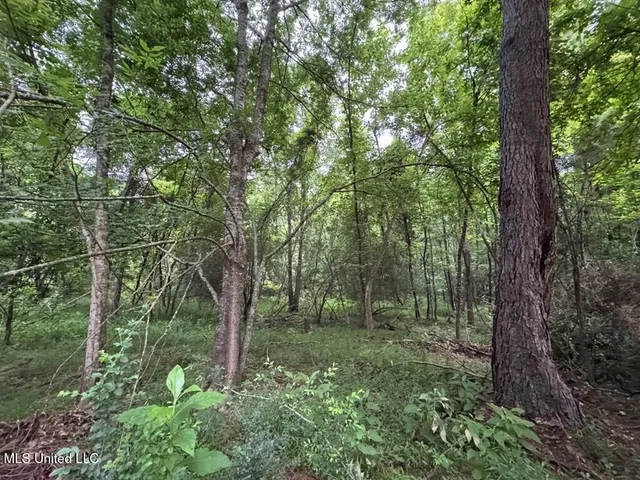 $162,000 | 3 Old Hamburg Roxie Road Northwest, Roxie, MS 39661