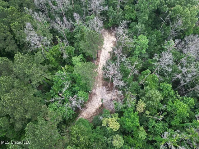 $162,000 | 3 Old Hamburg Roxie Road Northwest, Roxie, MS 39661