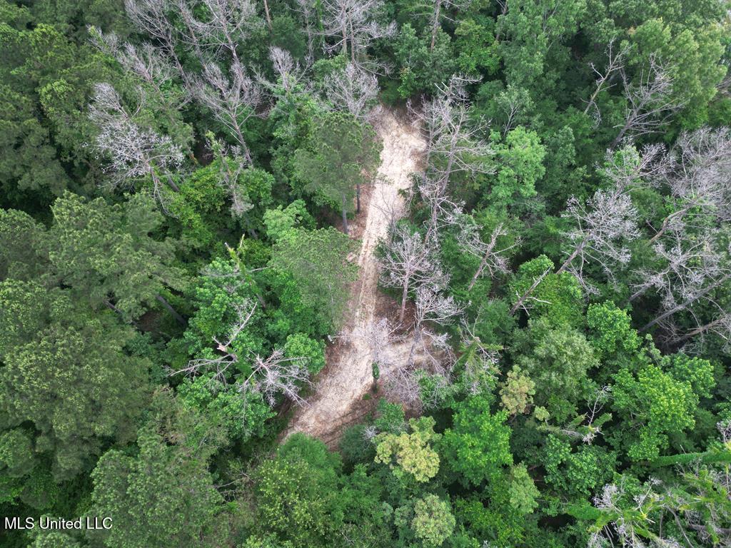 3 Old Hamburg Roxie Road Northwest Roxie, MS 39661 - Photo 10 of 11 144662_20