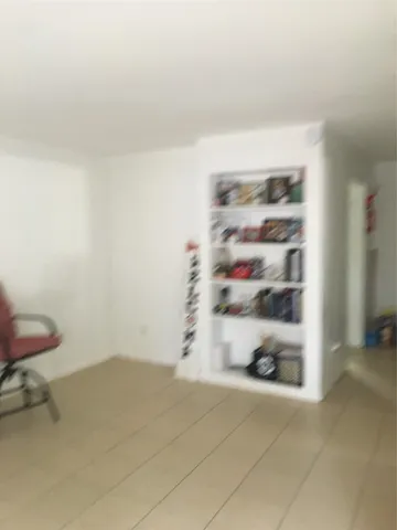 a view of a backyard with pathway