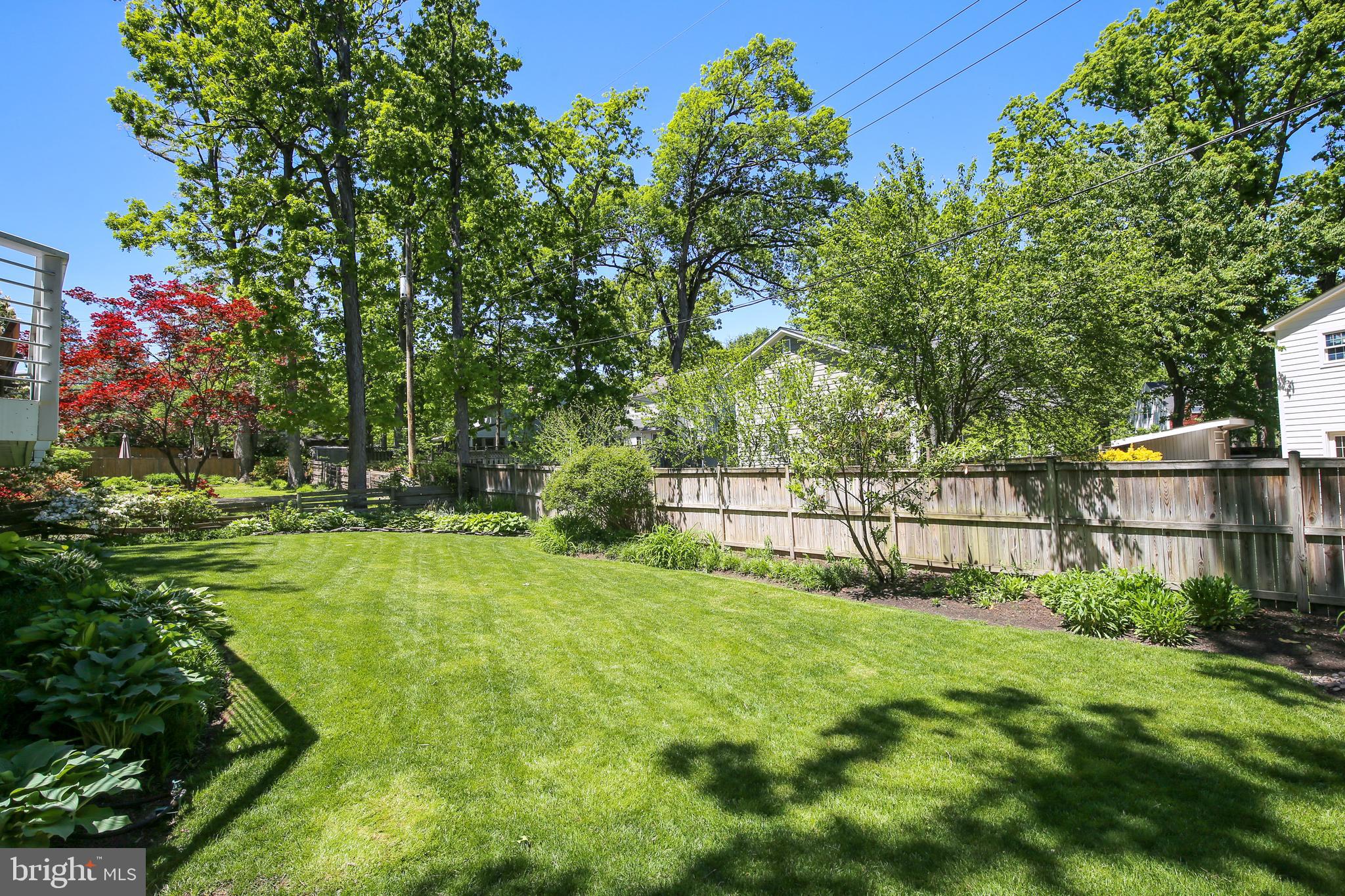 903 Eldon Drive Alexandria, VA 22302 - Photo 78 of 83 Back Yard