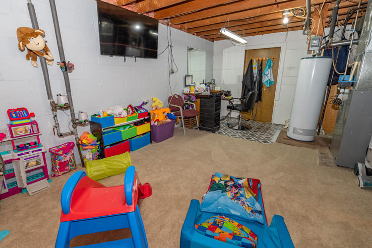 501 Rynearson Street Buchanan, MI 49107 - Photo 26 of 40 501 Rynearson St Buch Basement 4