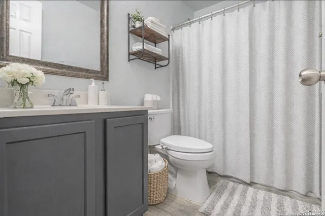 a bathroom with a sink a toilet and shower curtain