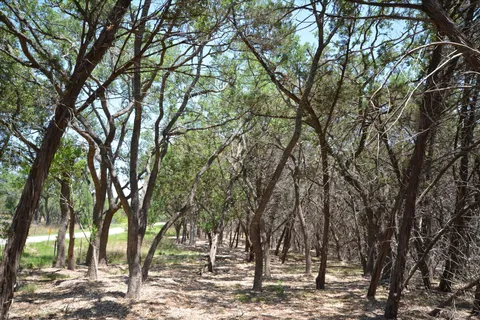 a view of outdoor space