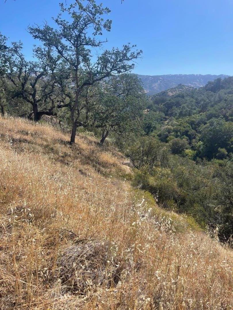 0 Cachagua Road Carmel Valley, CA 93924 - Photo 3 of 10 a view of a yard with a tree