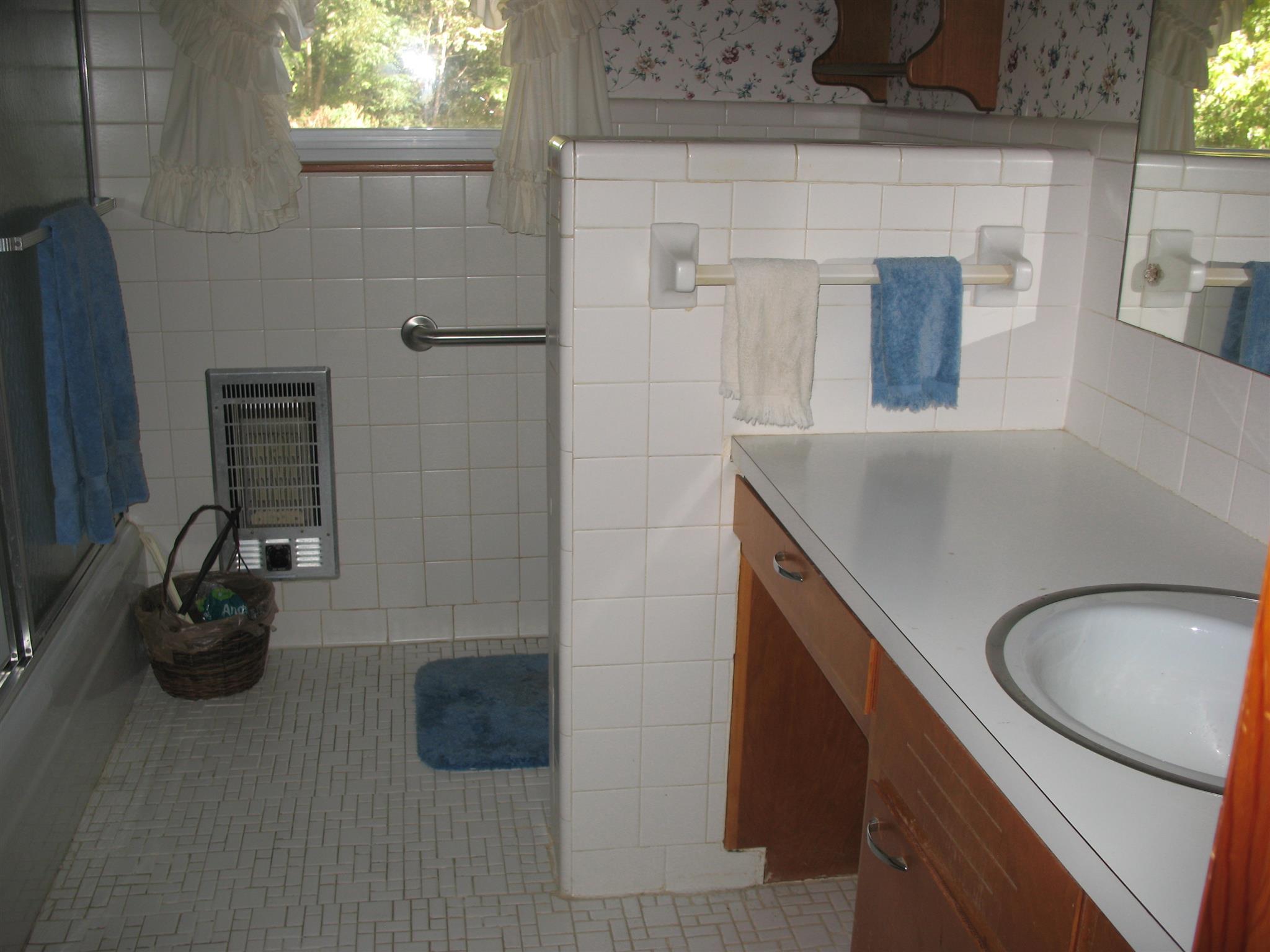 1005 Georgia Crossing Road Winchester, TN 37398 - Photo 14 of 22 main bath with combo tub/shower