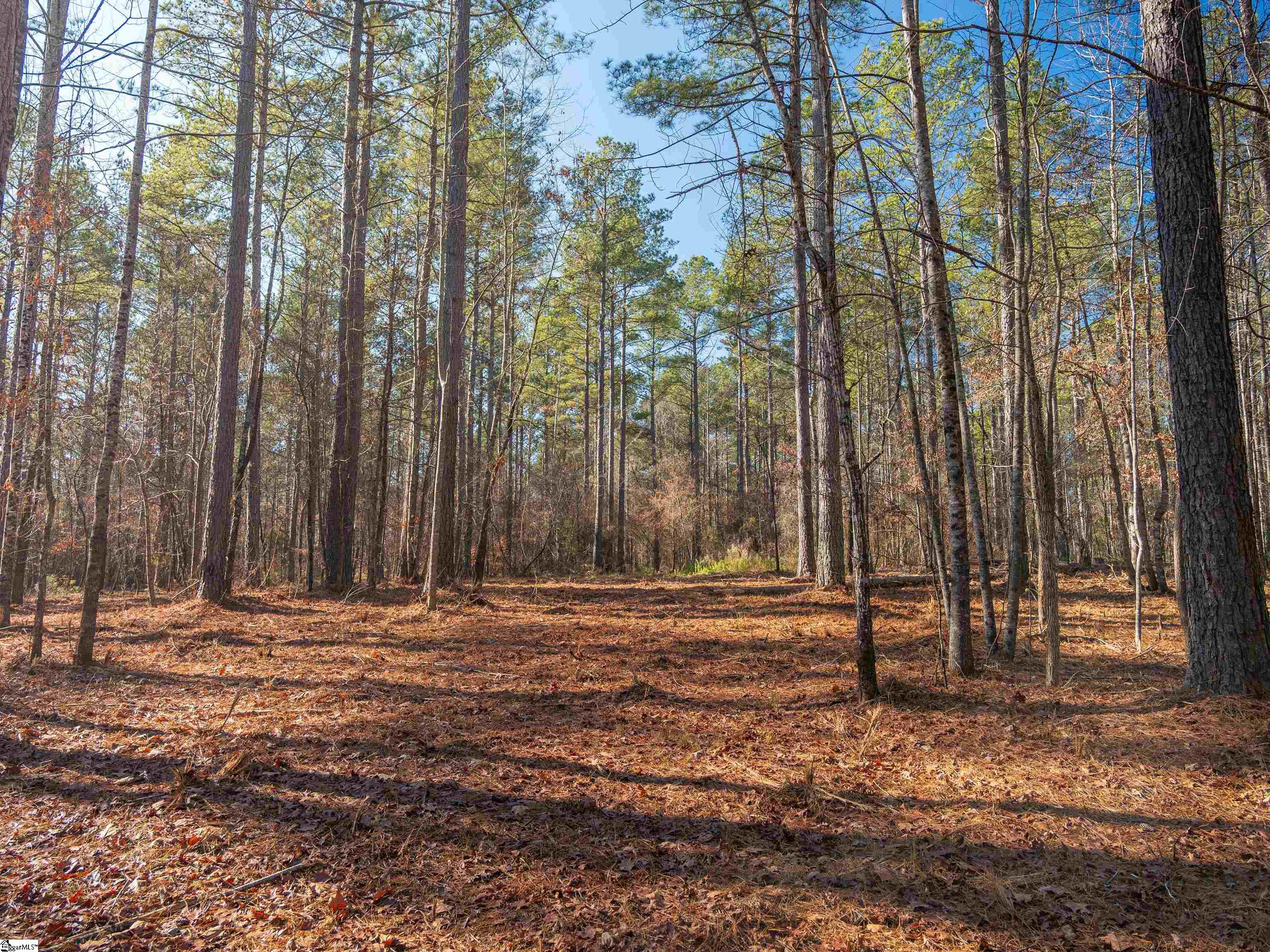 9 Mill Pine Road Liberty, SC 29657 - Photo 11 of 38