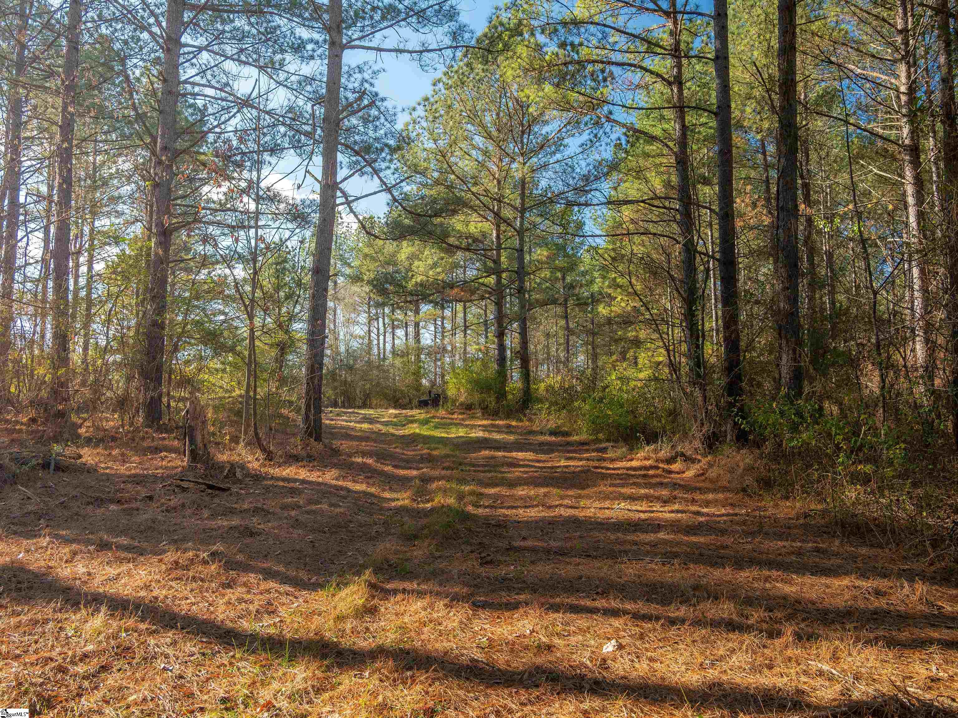 9 Mill Pine Road Liberty, SC 29657 - Photo 13 of 38