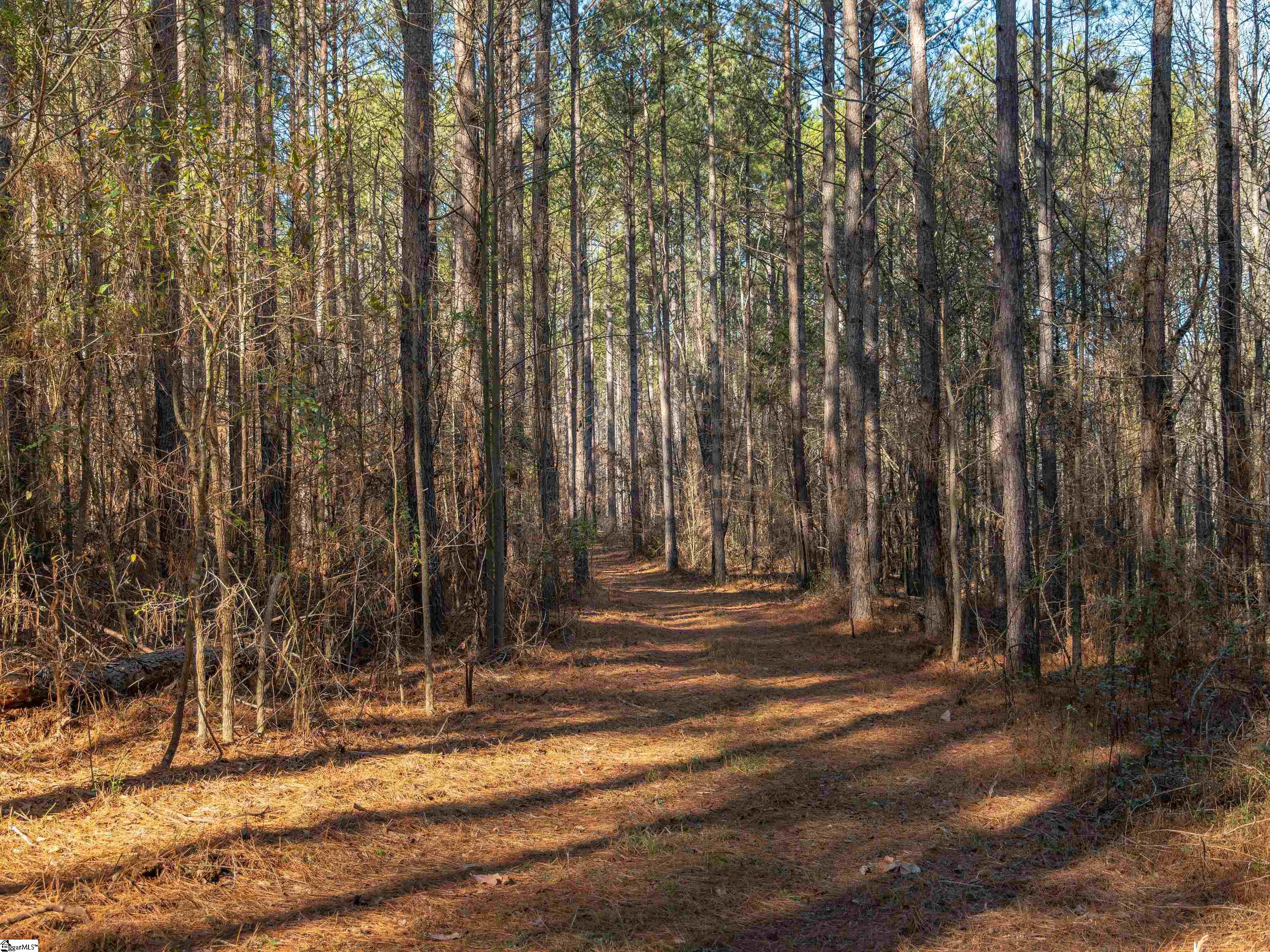 9 Mill Pine Road Liberty, SC 29657 - Photo 14 of 38