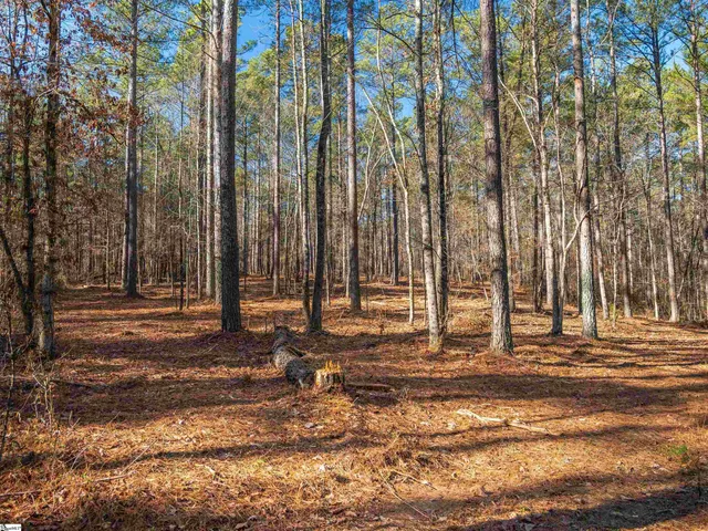 $364,999 | 9 Mill Pine Road, Liberty, SC 29657