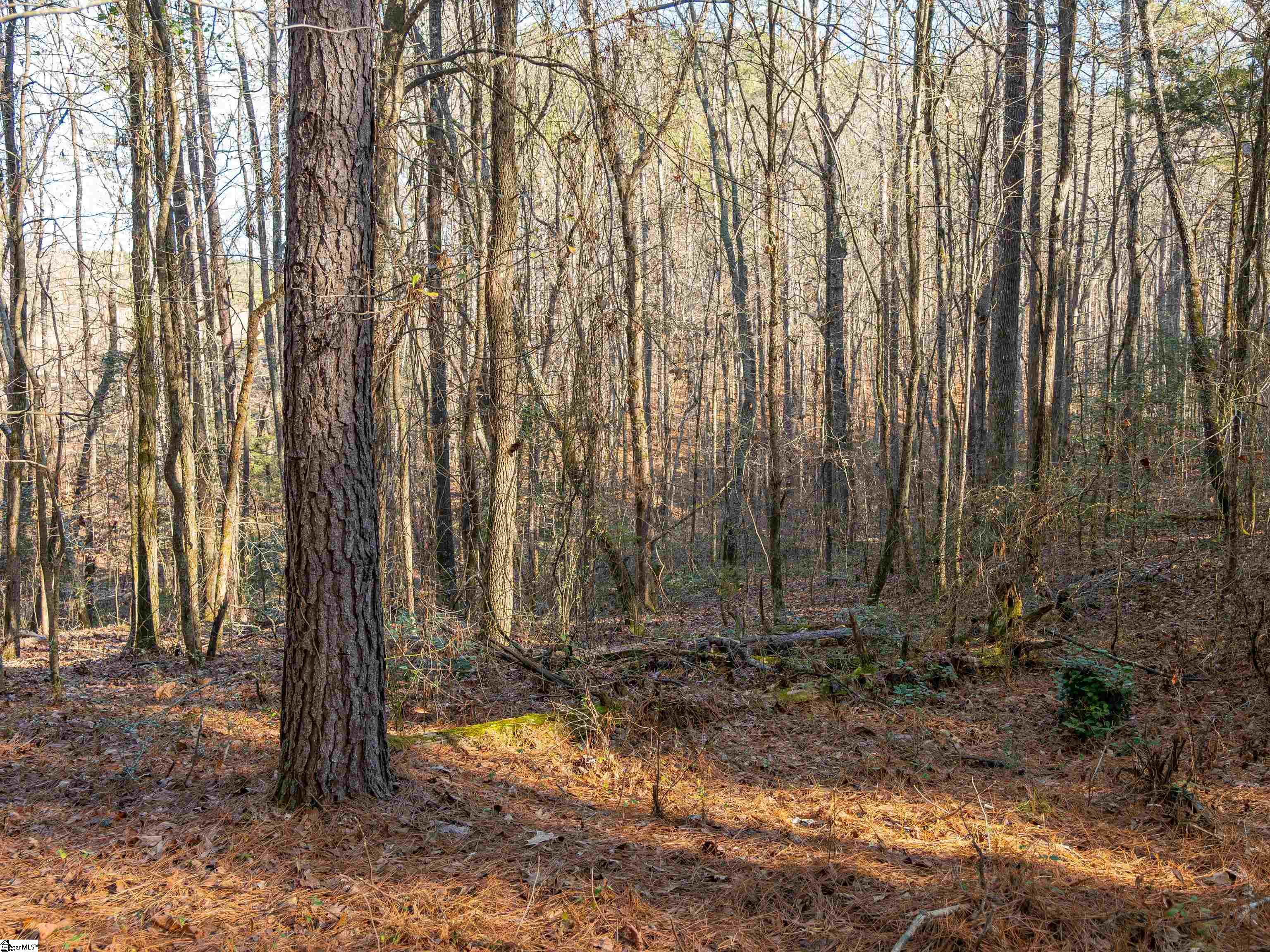 9 Mill Pine Road Liberty, SC 29657 - Photo 15 of 38