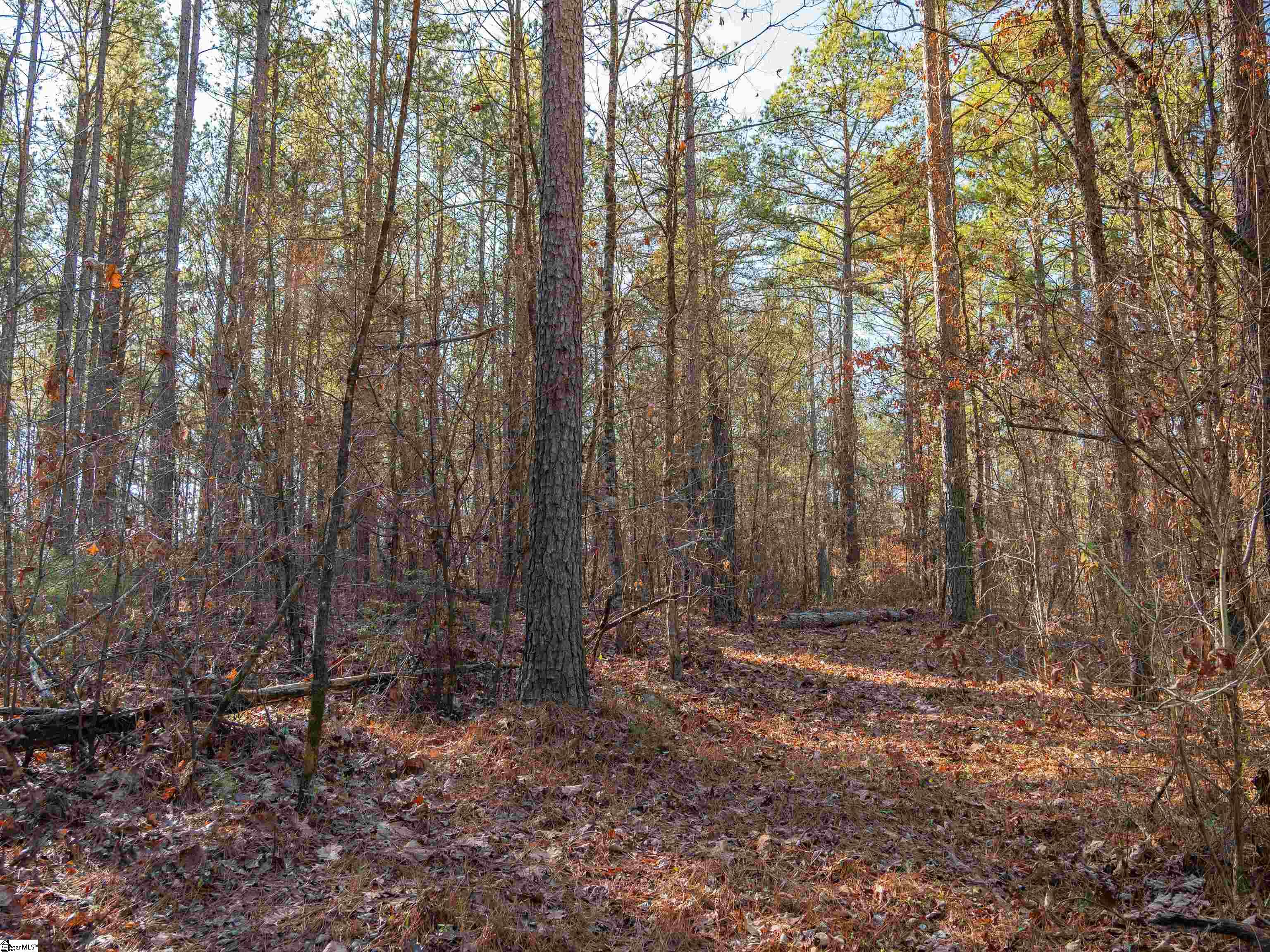 9 Mill Pine Road Liberty, SC 29657 - Photo 17 of 38