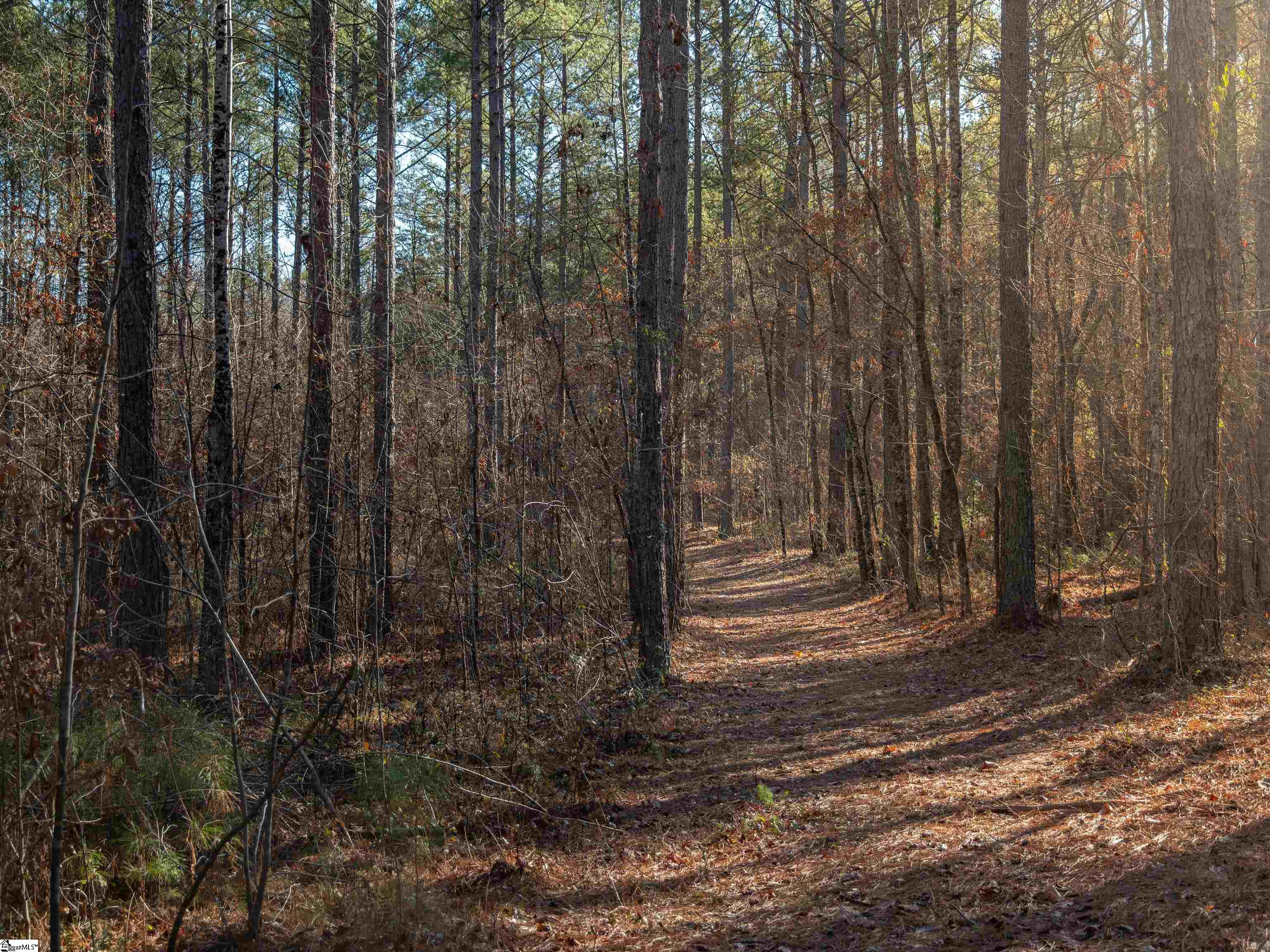 9 Mill Pine Road Liberty, SC 29657 - Photo 18 of 38