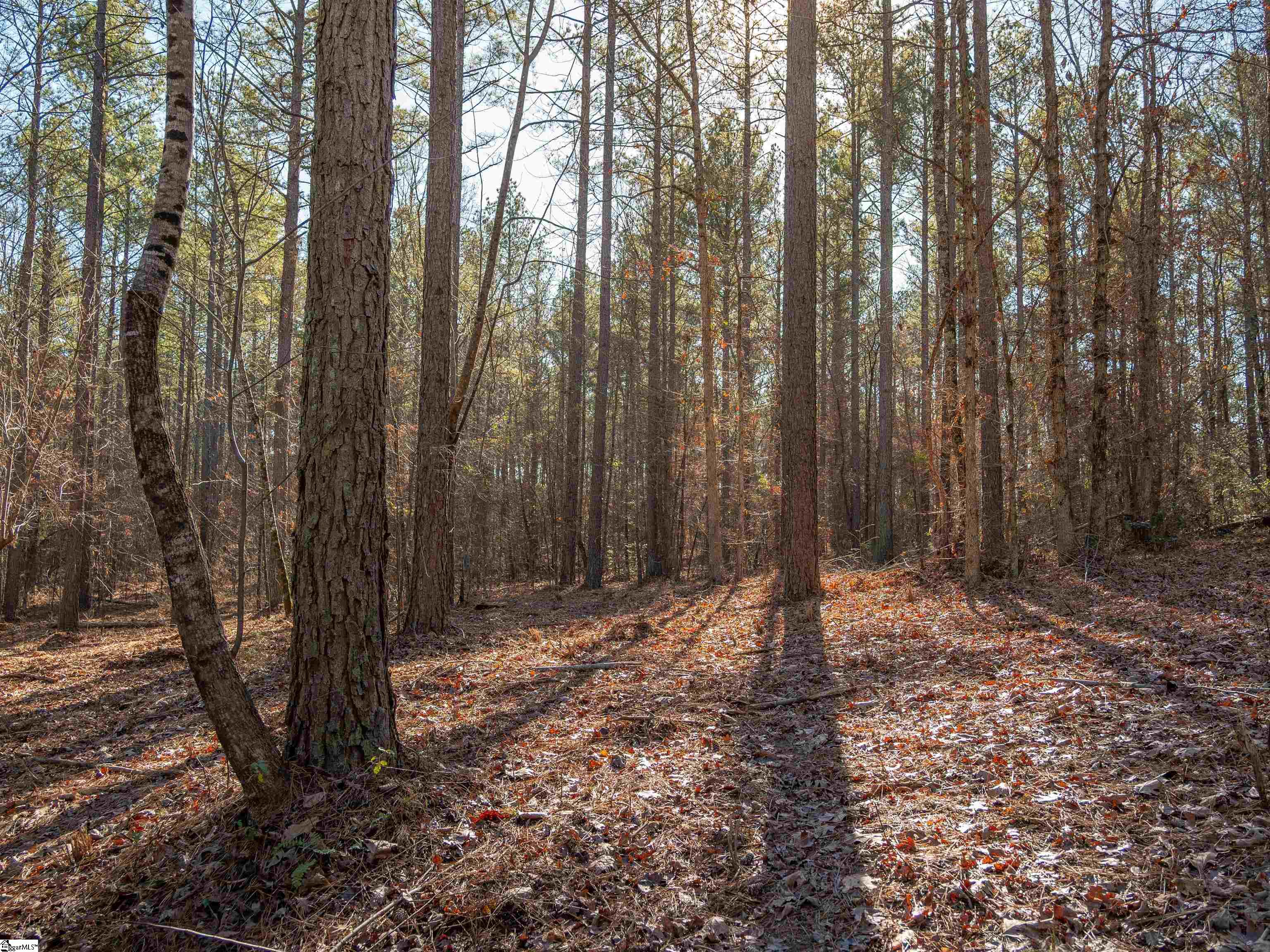 9 Mill Pine Road Liberty, SC 29657 - Photo 19 of 38